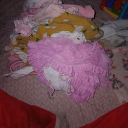 Baby Girl Clothes—18 Months