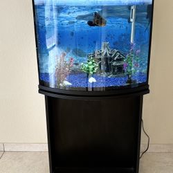Curved Fish Tank with Stand + Oscar & Pleco + Accessories
