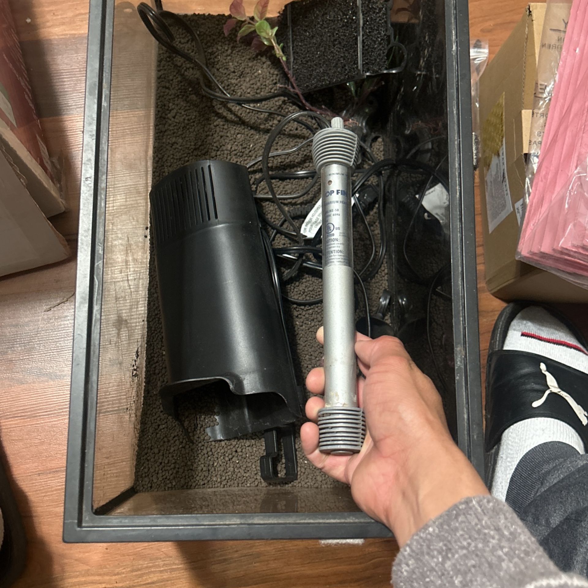 Fish Tank 10 Gallons