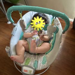 Baby Bouncer