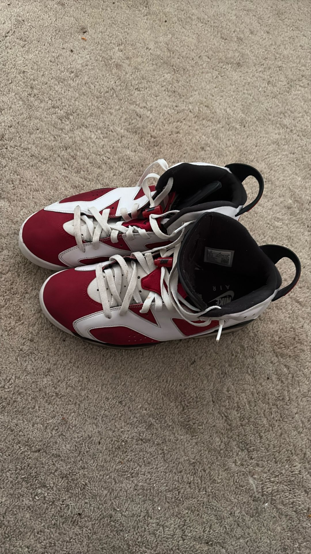 Nike Jordan 6 Retro Carmine size 11