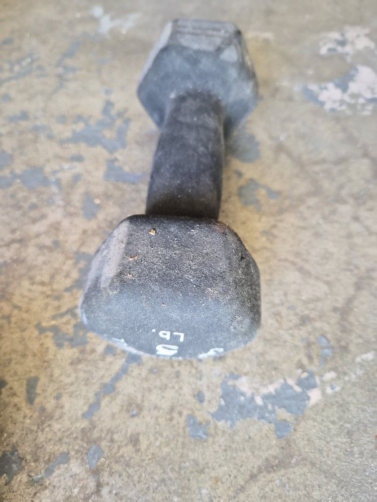 5lbs Single Dumbell