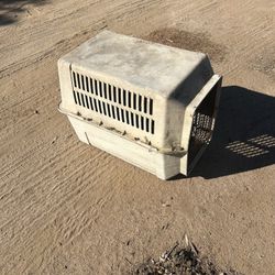 Dog Crates & Kennels 