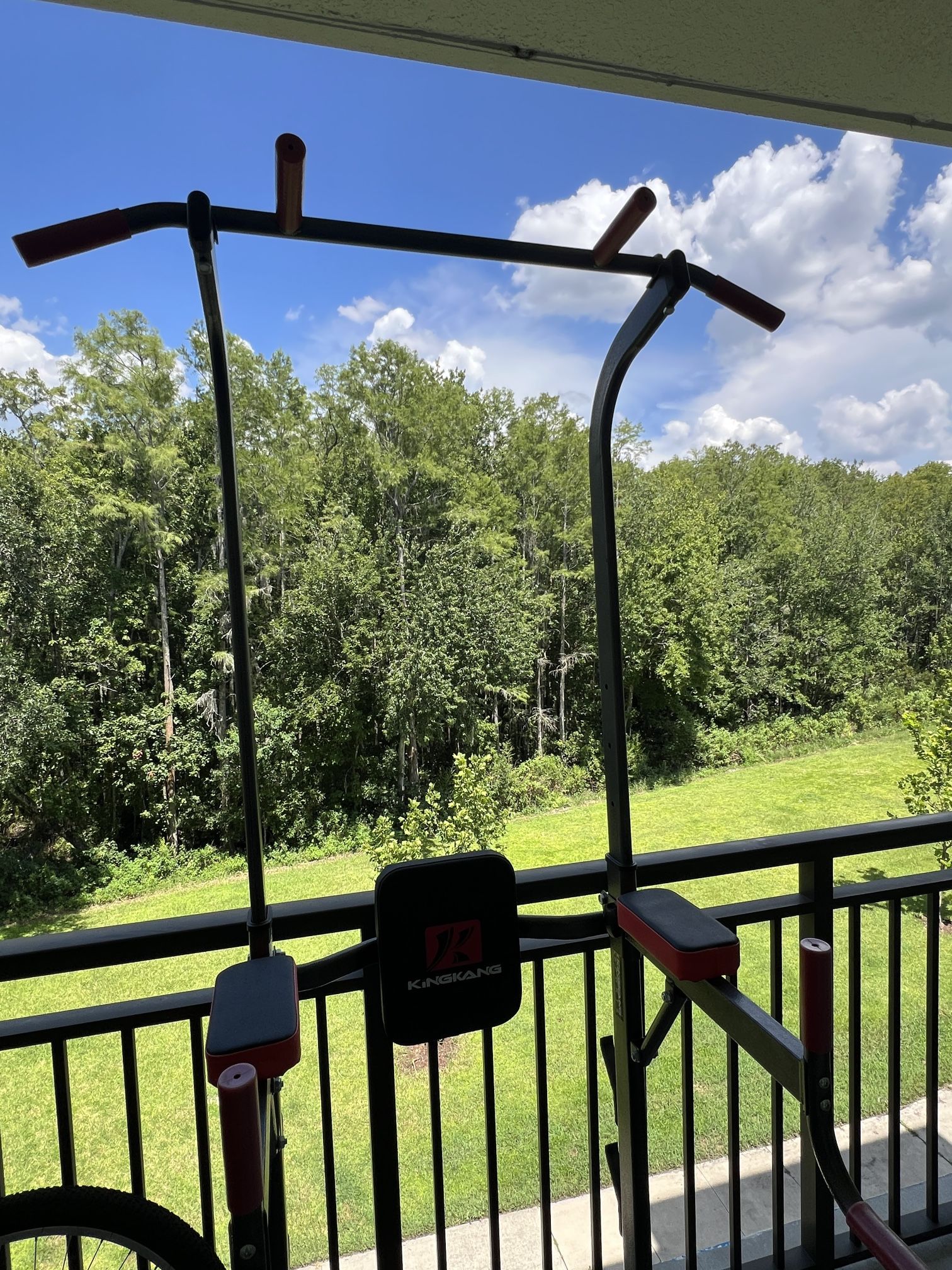 💪 Heavy-Duty Pull-Up Bar Station – Sturdy & Reliable (350 lb Capacity)