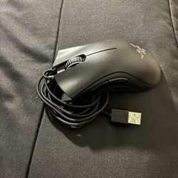 Computer Mouse