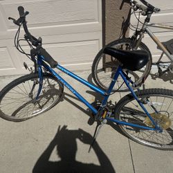 Bikes 