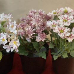 Artificial potted plant w pot, set of 3