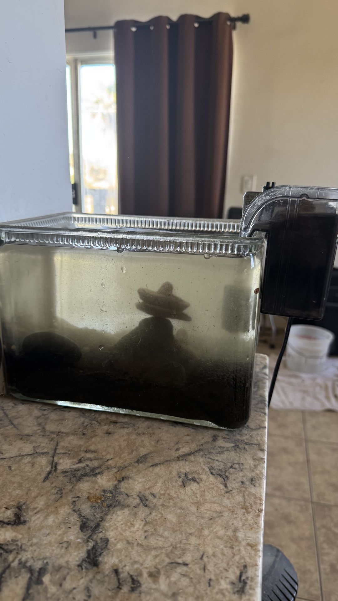 1/2 Gallon Freshwater tank