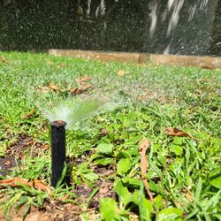 Sprinkler