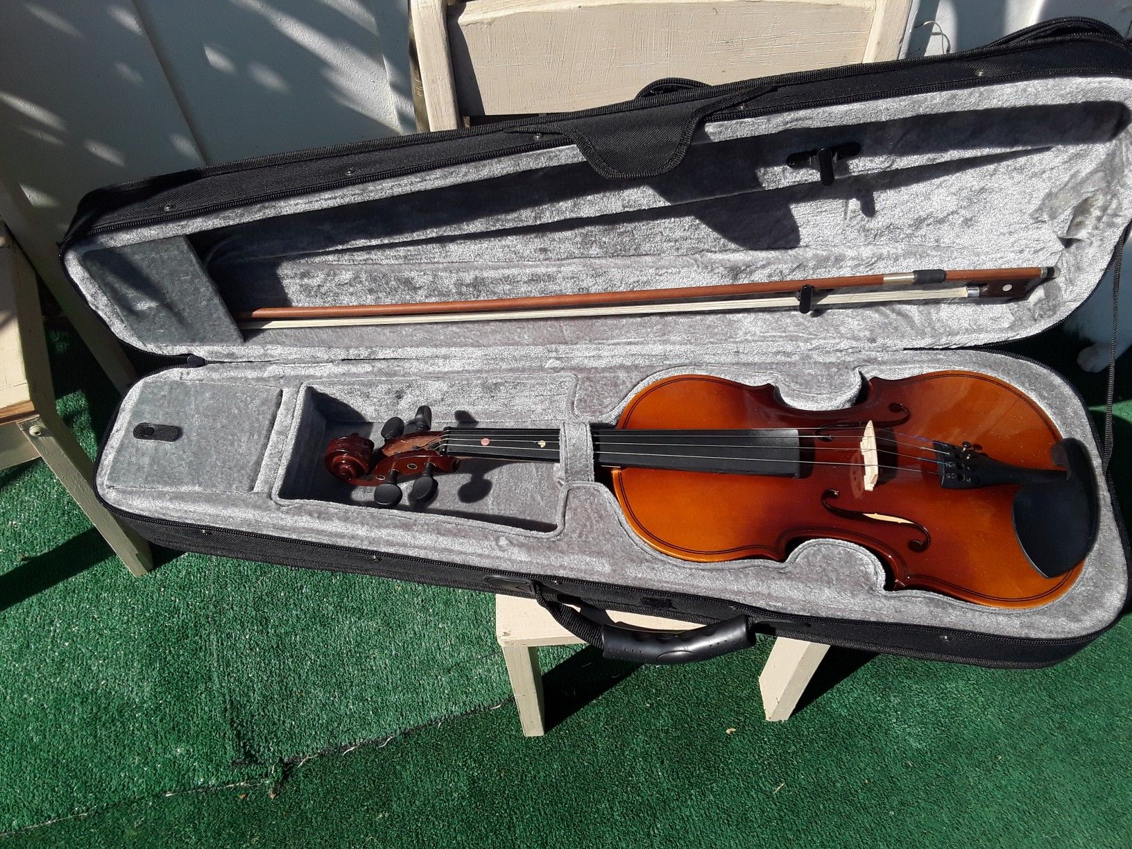 Violin