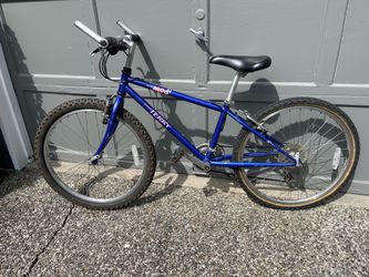 Terry "Moo" Small Woman's bike ~5'+ rider