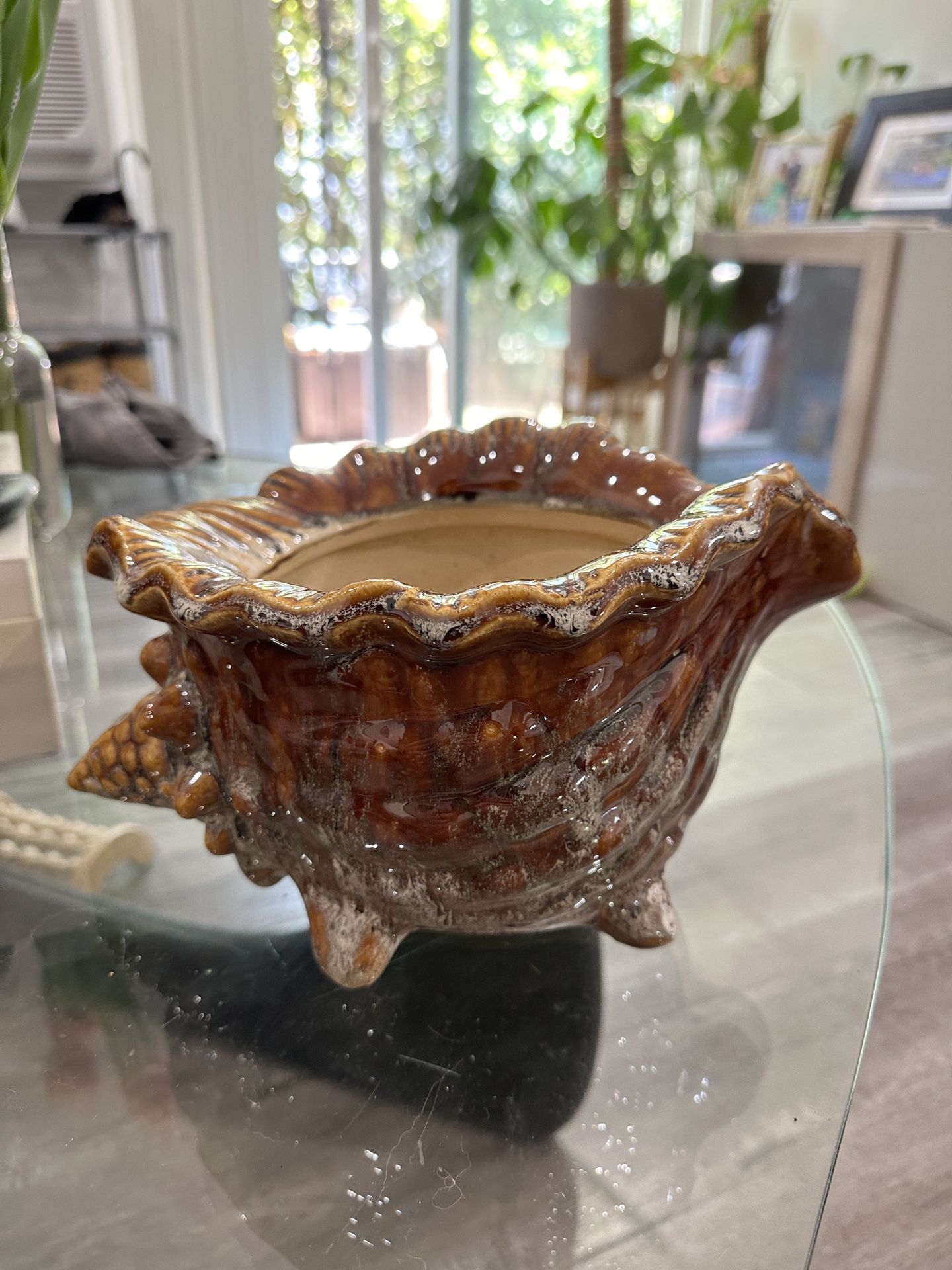 Ceramic Conch Shell Pot/Bowl