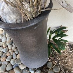Heavy big outdoor pot display home Decour storage flower base pot 