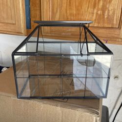 Mini Plant Terrarium