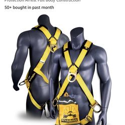Safety harness and lanyard