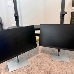 HP Dual Monitor
