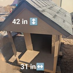 Dog House 