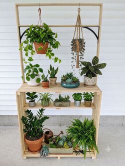Multi-Tier Wooden Plant Stand - 6'5" tall