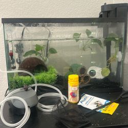 5.5 Gallon Fish Tank 