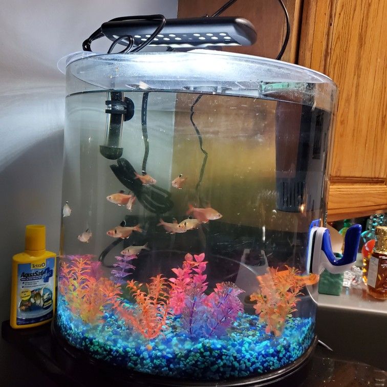 Half Moon Fish Tank