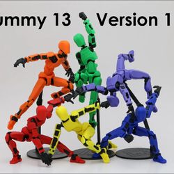 Dummy 13