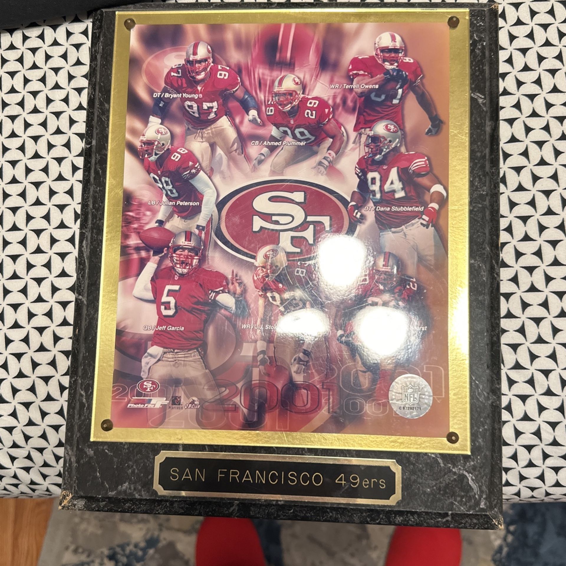 Framed 2001 SF 49ers Picture