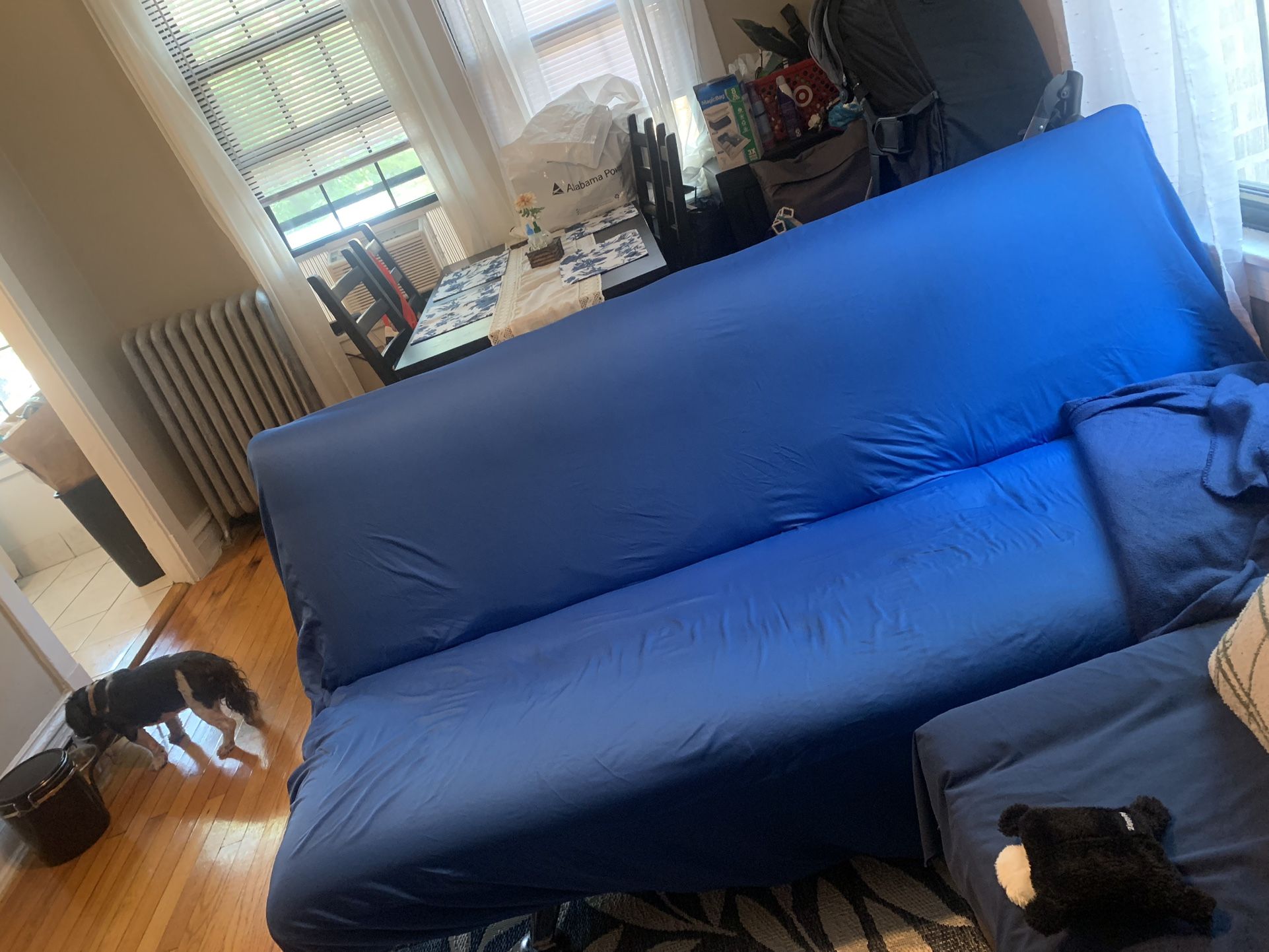 Sleeper Sofa