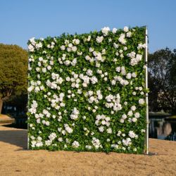 Wedding, Graduation Flower Wall