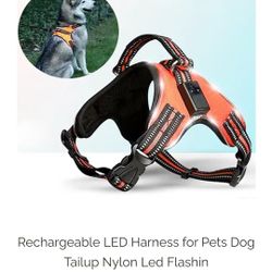 Leather rechargeable LED Dog harness