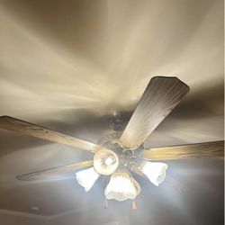 Ceiling Fan 