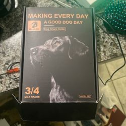 Dog Training Collar