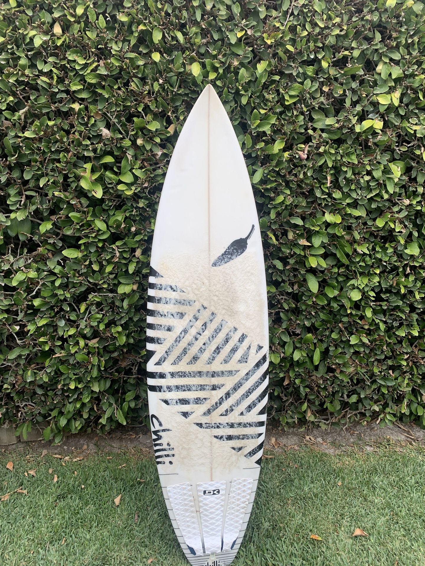 Chilli Surfboard 6