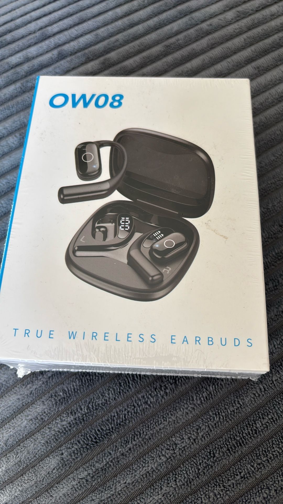 Translation earbuds
