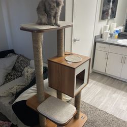 Cat Tower 