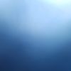 Hans