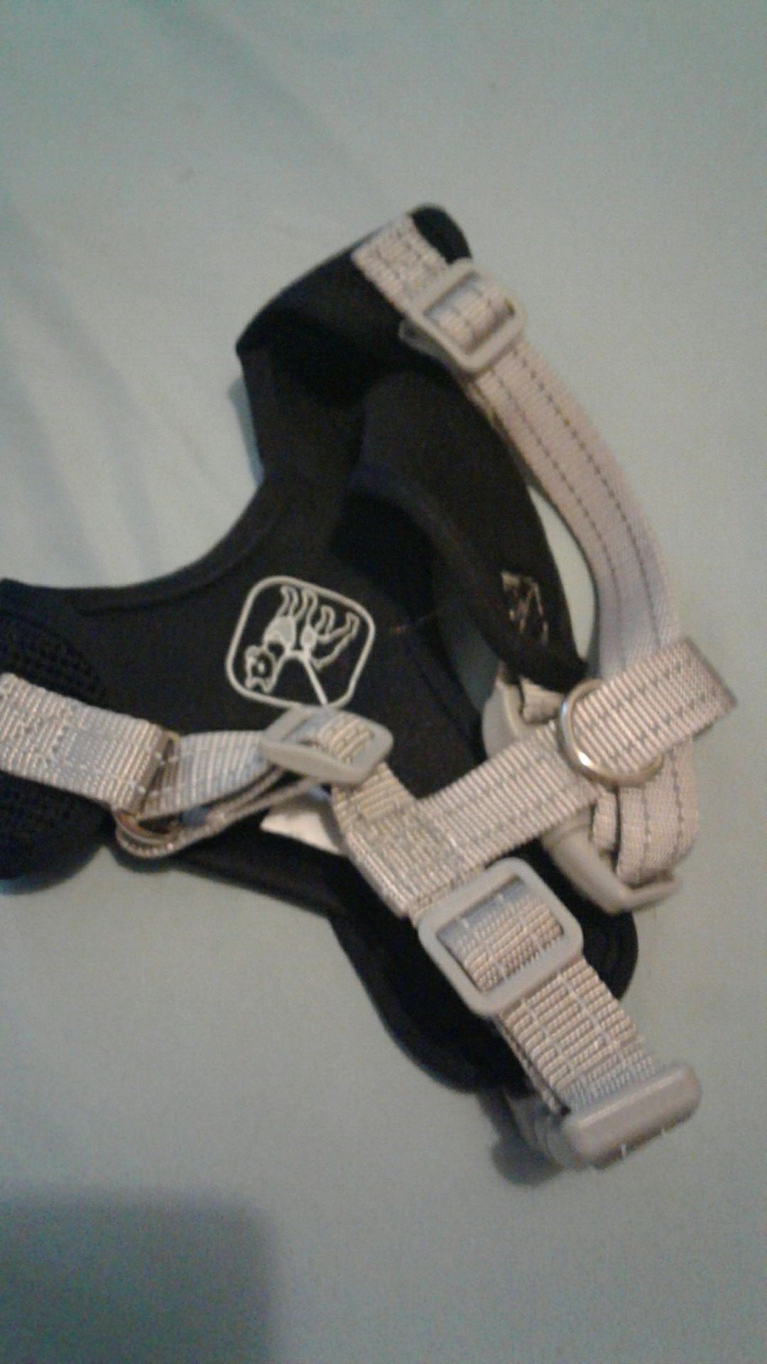 Leash