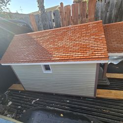 Professional Dollhouse