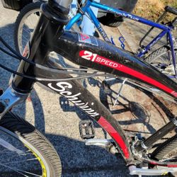 Schwinn Bike