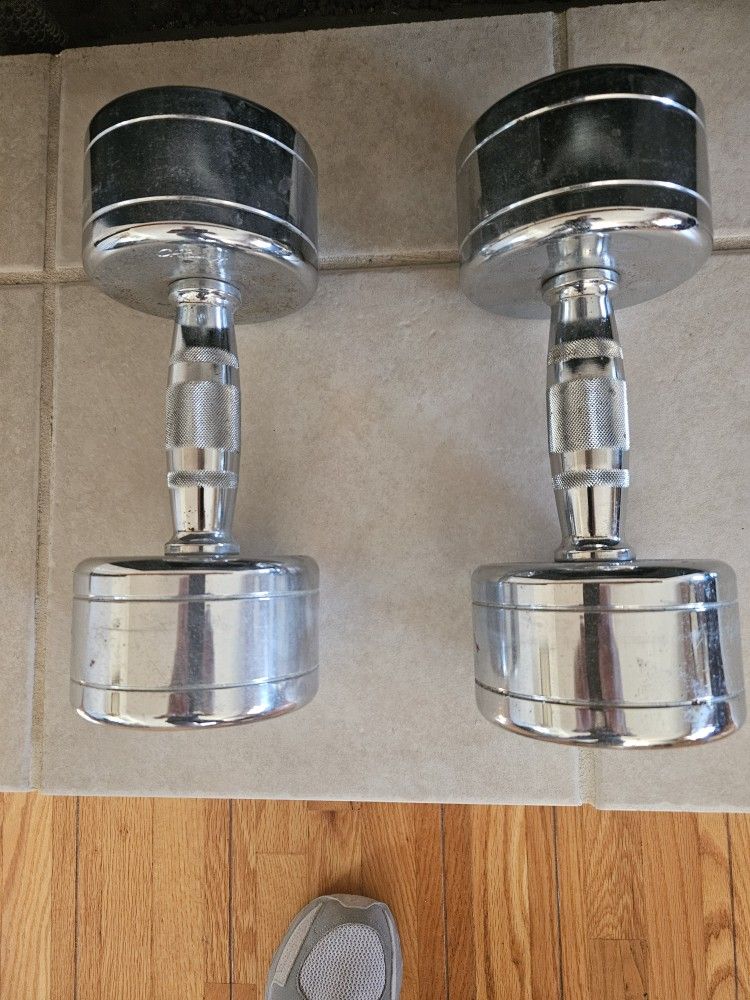 25 Lb Dumbbells