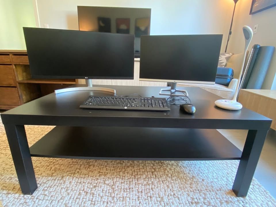 Computer Monitors: LG 29" UltraWide Monitor / HP 23.8" IPS LED FHD FreeSync Monitor