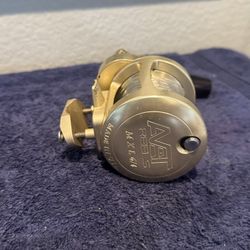 Avet MXL 2 Speed Fishing reel