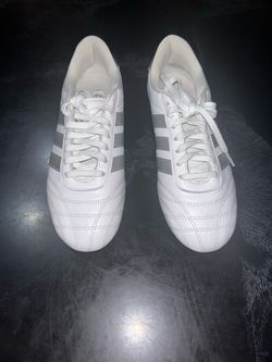 Adidas Taekwondo Lace sneakers in the Cloud White and Silver Metallic colorway