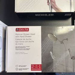 Delta Rain can Shower Head With Hand Shower