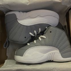 5c Jordan 12 Retro