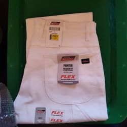 Dickies Painter Relaxed