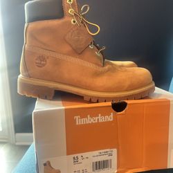Men's 6 inch Waterproof Timberland Boots  Size 9.5