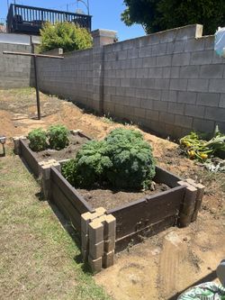 Vegetable Garden Materials 