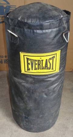 Punching Bag - Everlast