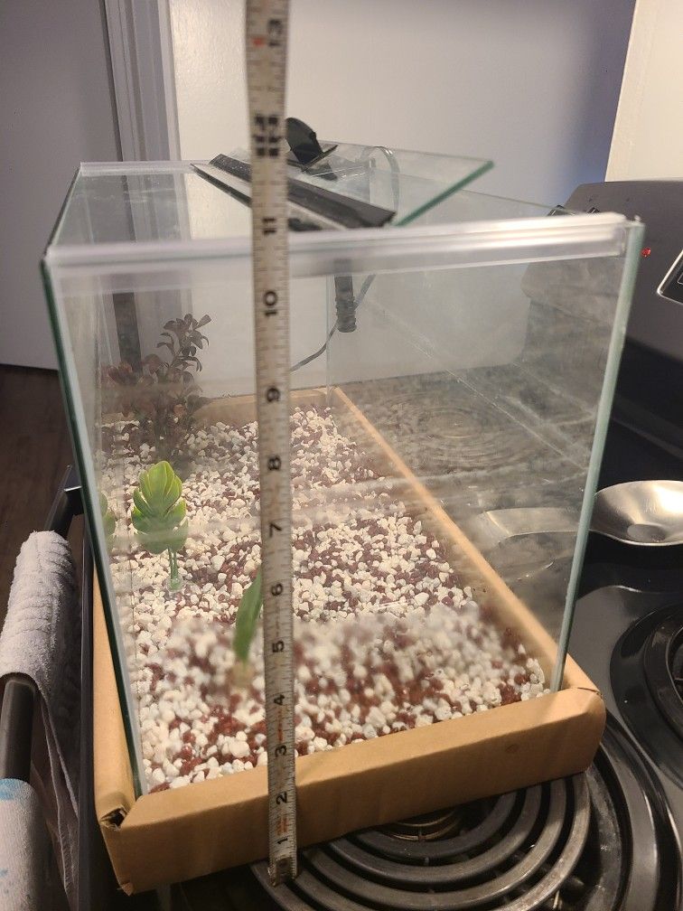 5 Gallon Fish Tank