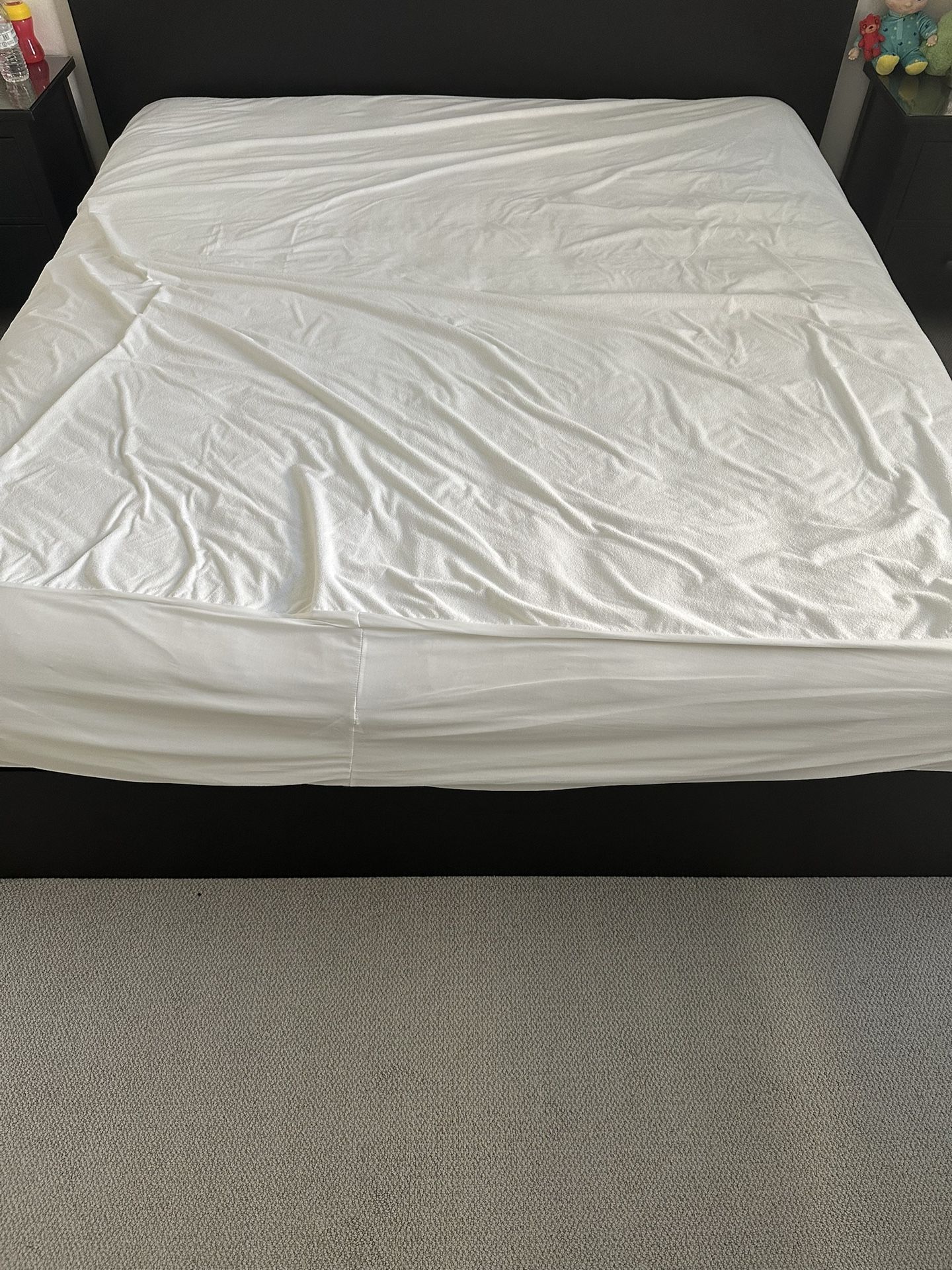 Free King Size Mattress and Box Spring